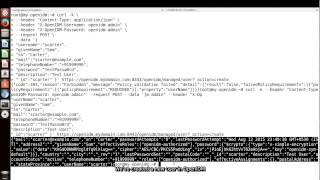 OpenIDM REST Interface [upl. by Benjamin]
