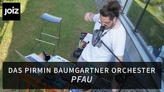 Das Pirmin Baumgartner Orchester  Pfau live at joiz [upl. by Seif]