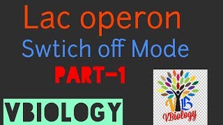 Lac Operon  gene regulation in prokaryotes [upl. by Osnofedli]