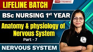 Anatomy amp Physiology Of Nervous System  Nervous System  BSc Nursing 1st Year  Lifeline Batch 7 [upl. by Eatnad]