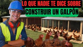 gallinas ponedoras ¿Qué se debe tener en cuenta para la construcción de un galpón [upl. by Slorac897]