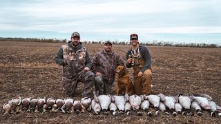 We Landed 400 MALLARDS In the Decoys Tornado [upl. by Karita]