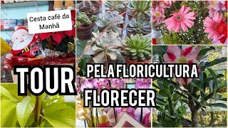 TOUR NA FLORICULTURA FLORESCER SANDRÉ UM ESPAÇO COM MUITAS FLORES e SUCULENTAS LINDAS [upl. by Pandora]