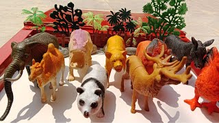 Amazing zoo animals toys  animals toys plastic animals  animals toys  farm animals wild animals [upl. by Varuag]