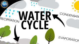 Water Cycle  How the Hydrologic Cycle Works [upl. by Ingles]