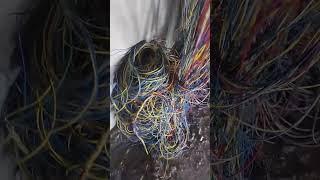 Electrician work Skills Electricianloverelectricalengineering electricalwiring [upl. by Walter]