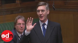 Jacob ReesMogg and Anna Soubry clash in the Commons [upl. by Icat436]