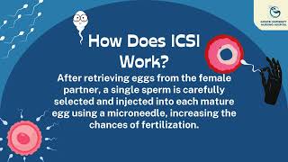 Intracytoplasmic Sperm Injection ICSI [upl. by Shuler766]