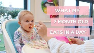 WHAT MY 7MONTH OLD EATS IN A DAY [upl. by Gyimah]