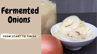 FERMENT WITH ME  FERMENTED ONIONS DETAILED [upl. by Janetta]