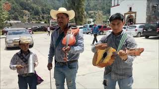 A bailar ÁNDELE COMADRE 🔥 Los Cervantes de Crescencio Morales [upl. by Carlton]