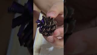 PINE CONES Christmas tree decorations making [upl. by Ecirehc]