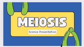 simple and easiest way of meiosisstages crossing over diffbw meiosis1 and 2The Vibes [upl. by Nairadas906]