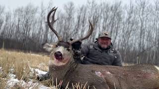 HUNT SASKATCHEWAN BIG BUCKS  RACK NATION [upl. by Gentry9]