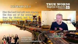 KJV Bible Reading Day 51 Genesis 1113 [upl. by Ymot]