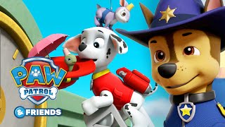 Melhores episódios de Missões da Patrulha e Resgate Especial  PAW Patrol Episódio Português [upl. by Nila]