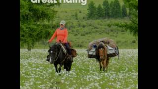 June Horse Trekking in Mongolia  Enjoy the Wildlflowers of Gorkhi Terelj National Park [upl. by Newton]