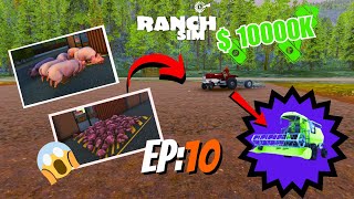 Ranch Simulator  Now Started Farming In Ranch 🌾😎  PART 10 Hindi 2024 regnetor ranch [upl. by Aikemet]