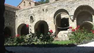 ABBAYE ST MARTIN du CANIGOU [upl. by Lewanna562]