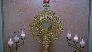 Adorecast – 247 Live Eucharistic Adoration [upl. by Bierman]