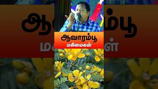 ஆவாரம்பூ மகிமைகள்💐 drsivaraman ஆவாரம்பூ healthyfood tamil tamilspeechbox avarampoo shorts [upl. by Akitnahs]