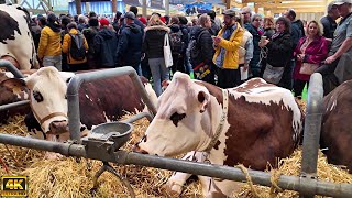 Salon de lagriculture 2024 HALL 1  Paris International Agricultural Show [upl. by Jump]