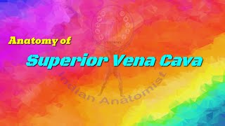 SUPERIOR VENA CAVA  anatomy anatomyandphysiology humanbody fmge inicet neet usmle [upl. by Ecyal]