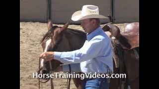 Horse Training Aid  Easy Stop [upl. by Rexanna]