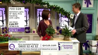 QVC Blooper  20 inches [upl. by Booma]