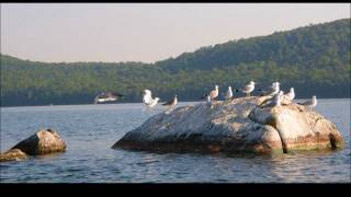 Life and Times on Pleasant Pond [upl. by Adnolehs]