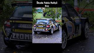 Rally Racing Mistake [upl. by Holman]