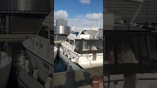 Stavanger harbour Norway shorts shortsfeed moresubscribers2024 [upl. by Anpas]