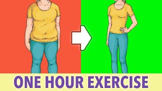 Full Body Fat Burn One Hour Exercise At Home [upl. by Evad]