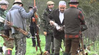 Films vidéo Documentaires Reportages Chasse à larc Lapins de Garenne [upl. by Riess263]