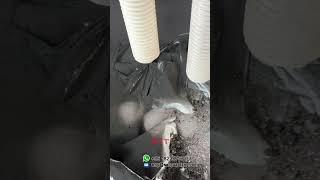 gyratory sifter  Crushed lithium battery recycling materials screening equipment [upl. by Donia141]