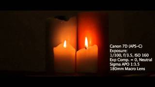 Canon 550D T2i vs 60D vs 7D vs 5D MK II Test [upl. by Let]