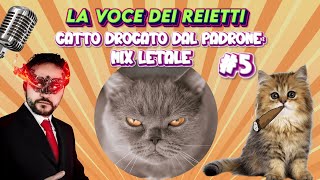 GATTO DROGATO DAL PADRONE MIX LETALE  La Voce dei Reietti 5 [upl. by Yasmin]