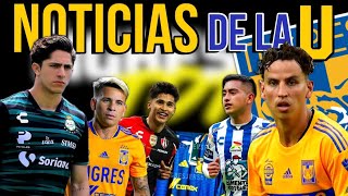 Altas y Bajas de Tigres Nuevos Jerseys de Tigres 🐯🔥 [upl. by Stormy]