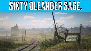 Red Dead Redemption II 60 Oleander Sage Locations [upl. by Marra]