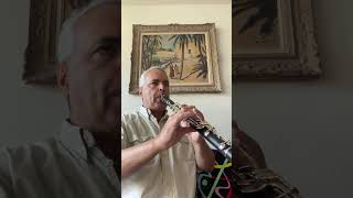 Gigue Mélodie A 12 lygeros music clarinet musicalinstrument viralshort ​⁠ [upl. by Berkley]