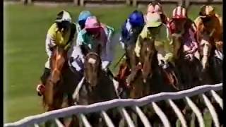 2001 Arena Racing Derby Trial Stakes [upl. by Leihcim744]