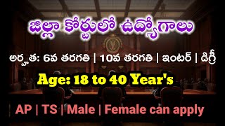 జిల్లా కోర్టులో ఉద్యోగాలు  District court jobs  latest govt jobs  All jobs station  court jobs [upl. by Nylyak]