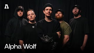 Alpha Wolf on Audiotree Live Full Session [upl. by Llerrehs]