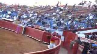 Bull jumps out of ring during bullfight [upl. by Bernardo]