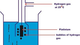 standard hydrogen electrode class 12 [upl. by Aerdnaed]