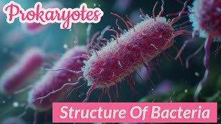 Whats inside a Bacterial cellStructure of bacteriaBacteriamicrobiologyprokaryotes [upl. by Hersch]