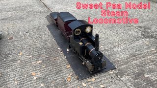 5 inch gauge Sweet Pea [upl. by Grannie]