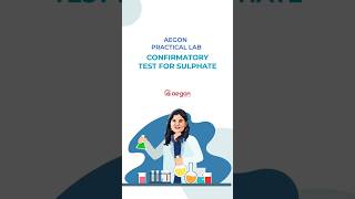 Confirmatory Test for Sulphate  Plus Two Chemistry Practicals  Aegon [upl. by Yettie]