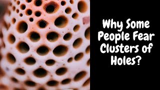 Why some people fear clusters of holes  Psychology behind trypophobia [upl. by Hallimaj]