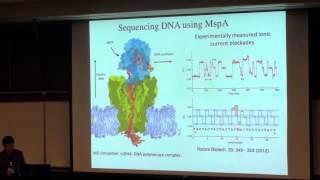 Aleksei Aksimentiev quotNanopore Sequencing of DNAquot [upl. by Hester]